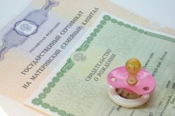 Законопроект о запрете использования маткапитала для погашения ипотеки от МФО внесен в Думу